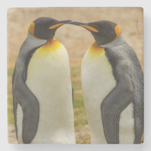 Paar Königspinguine, Falklandinseln Steinuntersetzer