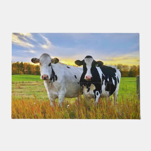 Paar Kühe auf der Weide Fußmatte (Vorderseite)