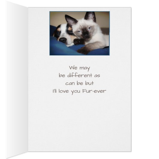 Paar Lieben FUTTER ODER VIERFALL Hunde & Katzen Sp (Innen (Rechts))