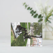 Paar Metallhunde Postkarte (Stehend Vorderseite)