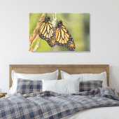 Paar Monarch Butterflys Fotografie Leinwand Kunst (Insitu (Schlafzimmer))