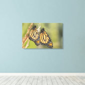 Paar Monarch Butterflys Fotografie Leinwand Kunst (Insitu (Holzboden))