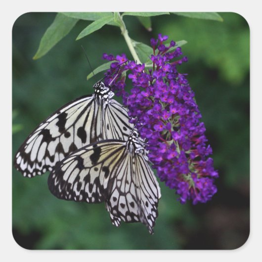 Paar Papierkite Quadratischer Aufkleber (Vorderseite)