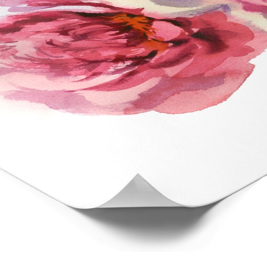 Paar Pfennigfuchser Poster (Ecke)