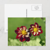 Paar Postkarte (Vorne/Hinten)