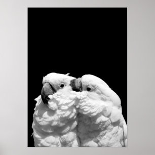 Paar Schirmkakados Poster