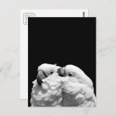 Paar Schirmkakados Postkarte (Vorne/Hinten)