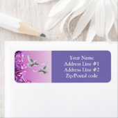 Paar schöne weiße Tauben (Insitu)