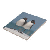 Paar schwarz gehauchter Golle Fliese (Seite)