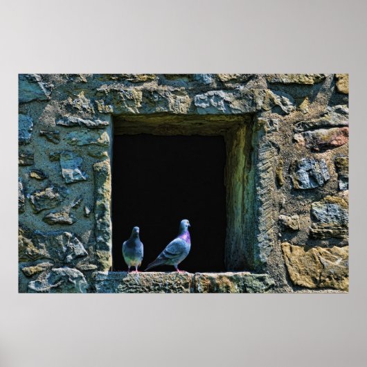 Paar Tauben im Schlossfenster Poster (Vorne)