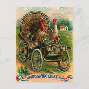 Paar Truthähne auf einem Oldtimer, vintage lustig Postkarte