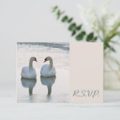 Paar von Lovebird Swans Gazing Wedding RSVP (Stehend Vorderseite)