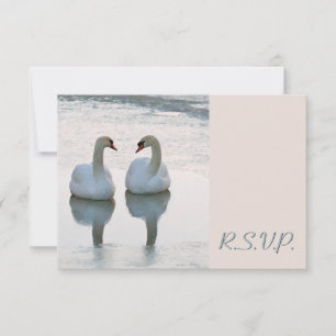 Paar von Lovebird Swans Gazing Wedding RSVP Karte