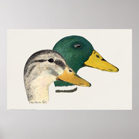 Paar von Mallard Enten (Drake und Hen) Poster (Vorne)