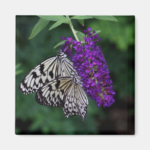 Paar von Papier Kites Magnet