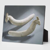 Paar von Rizinets, Thinitzeit (Hippopotamus iv Fotoplatte (Seite)