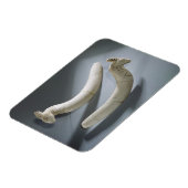 Paar von Rizinets, Thinitzeit (Hippopotamus iv Magnet (Linke Seite)