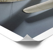 Paar von Rizinets, Thinitzeit (Hippopotamus iv Poster (Ecke)