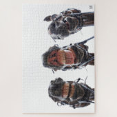 Paarden in de mond gekeken. 3 paarden lachend. puzzle (Vertikal)