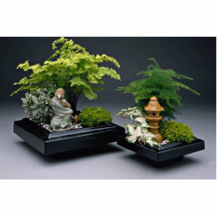 Paare Bonsaisbäume mit dekorativen Zahlen Freistehende Fotoskulptur
