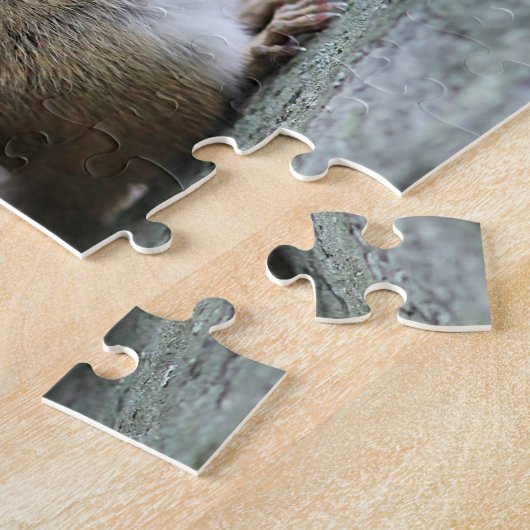 Paare Chipmunks Puzzle (Seite)
