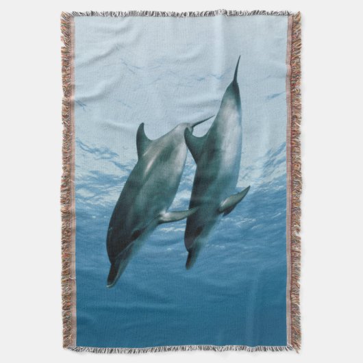 Paare Delphine Decke (Vorderseite Vertikal)