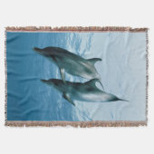 Paare Delphine Decke (Vorderseite)