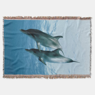 Paare Delphine Decke