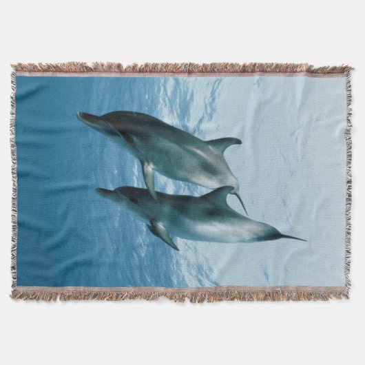 Paare Delphine Decke (Vorderseite)