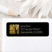 Paare der gelben Ahornbäume Herbstnatur (Insitu)