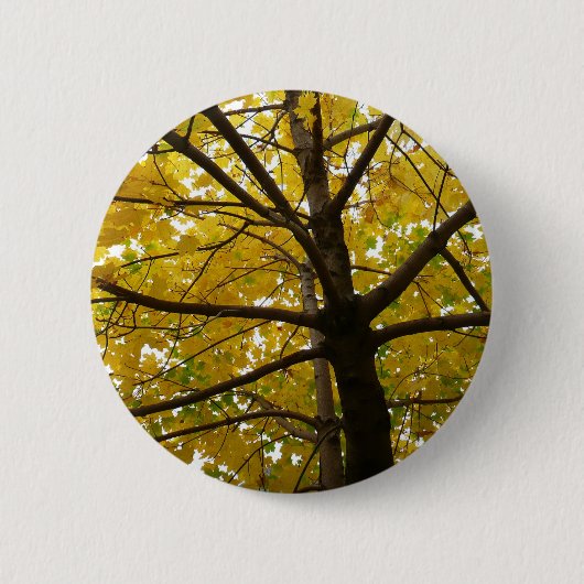 Paare der gelben Ahornbäume Herbstnatur Button (Vorderseite)