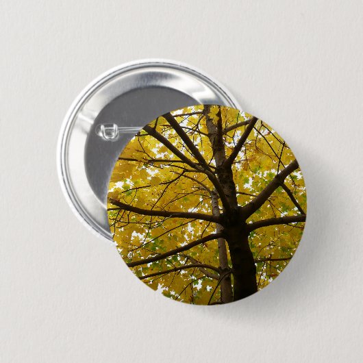 Paare der gelben Ahornbäume Herbstnatur Button (Vorne & Hinten)