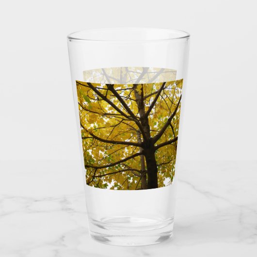 Paare der gelben Ahornbäume Herbstnatur Glas (Vorderseite)