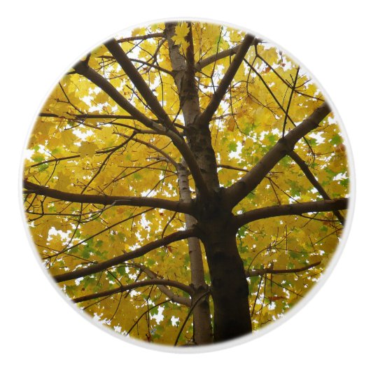 Paare der gelben Ahornbäume Herbstnatur Keramikknauf (Vorderseite)