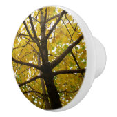 Paare der gelben Ahornbäume Herbstnatur Keramikknauf (Rechts)