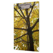 Paare der gelben Ahornbäume Herbstnatur Klemmbrett (Links)