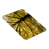 Paare der gelben Ahornbäume Herbstnatur Magnet (Rechte Seite)