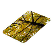 Paare der gelben Ahornbäume Herbstnatur Magnet (Linke Seite)