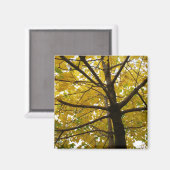 Paare der gelben Ahornbäume Herbstnatur Magnet (Vorderseite/Rückseite)