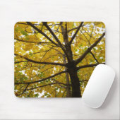 Paare der gelben Ahornbäume Herbstnatur Mousepad (Mit Mouse)