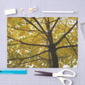 Paare der gelben Ahornbäume Herbstnatur Seidenpapier (Handwerk)