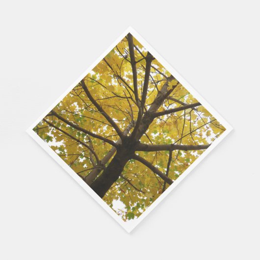 Paare der gelben Ahornbäume Herbstnatur Serviette (Ecke)