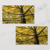 Paare der gelben Ahornbäume Herbstnatur Visitenkarte (Vorne/Hinten)