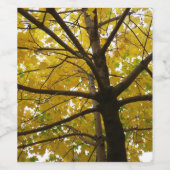 Paare der gelben Ahornbäume Herbstnatur Weinetikett (Einzelnes Label)