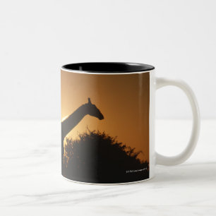 Paare der Giraffen-(Giraffa camelopardalis) Zweifarbige Tasse