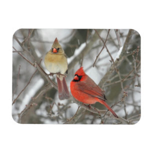 Paare der NordKardinäle Magnet