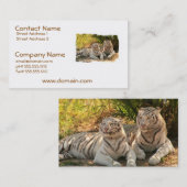 Paare der weißen Tiger-Visitenkarten Visitenkarte (Vorne/Hinten)