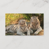 Paare der weißen Tiger-Visitenkarten Visitenkarte (Rückseite)