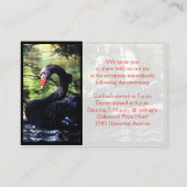 Paare für Black Swans Enclosure Card Begleitkarte (Rückseite)
