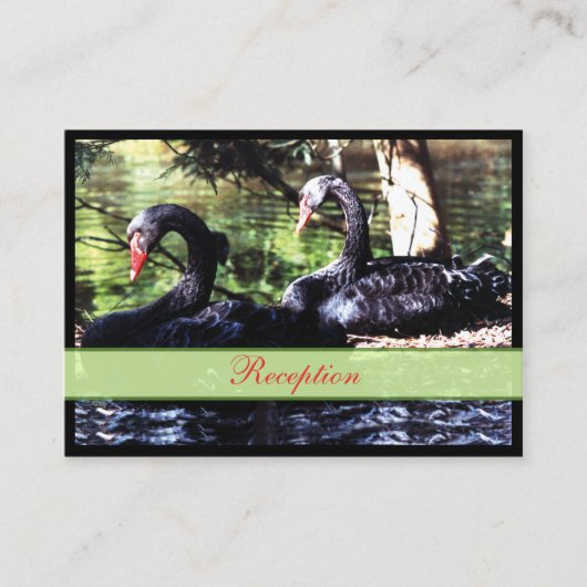 Paare für Black Swans Enclosure Card Begleitkarte (Vorderseite)